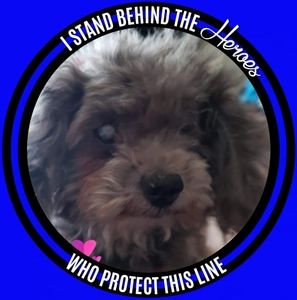 Meet your Posher, Stephen